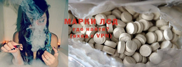 прущие грибы Покачи
