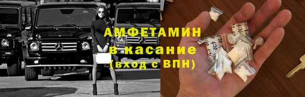 прущие грибы Покачи
