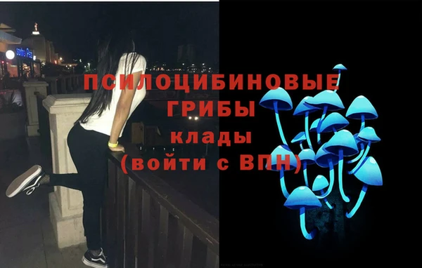 амф Протвино