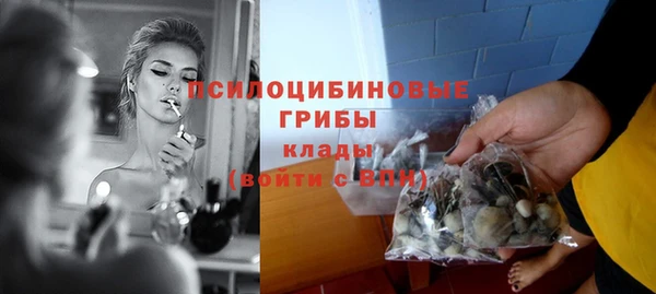 твердый Приозерск