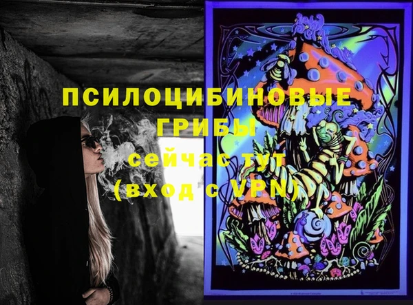прущие грибы Покачи