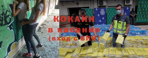 прущие грибы Покачи