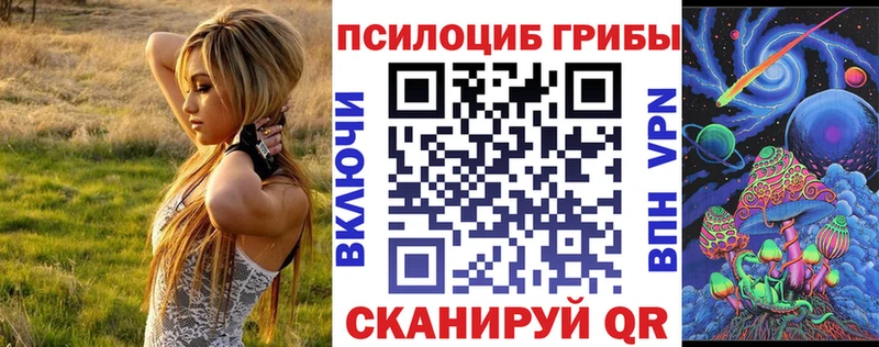 Псилоцибиновые грибы GOLDEN TEACHER  гидра рабочий сайт  Судогда 